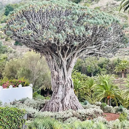 Apartment Poseidon En Playa Arena