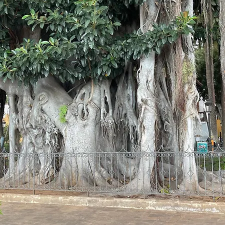 Apartment Poseidon En Playa Arena *