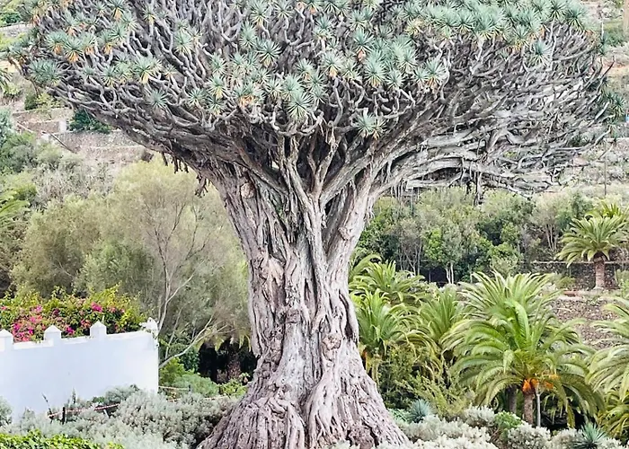 Apartament Poseidon En Playa Arena