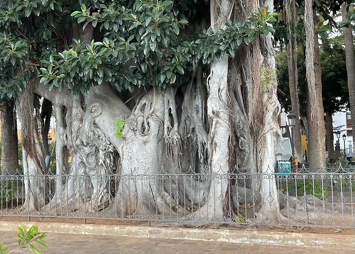 Apartament Poseidon En Playa Arena *